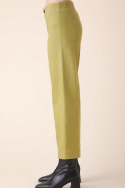 Color Knack Pant in Fern