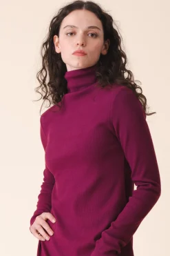 New Usual in African Violet